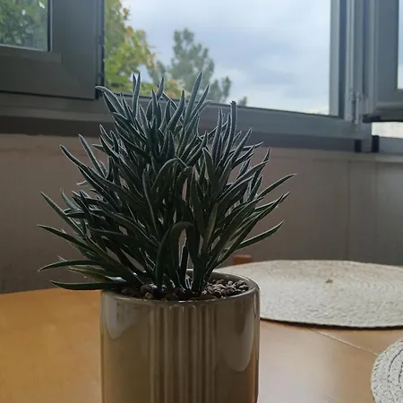 Linda Apartments- Arena * Belgrád